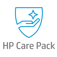 CAREPACK 4 ANNI ON SITE NBD WORKSTATION Z1