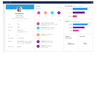 Dynamics 365 Customer Insights