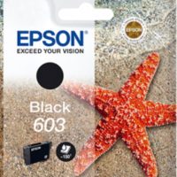 603 ESTRELLA DE MAR