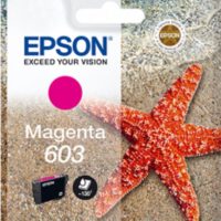 603 ESTRELLA DE MAR