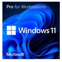Windows 11 Home N to Pro N Upgrade for Microsoft 365 Business