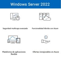 Windows Server 2022 CAL -  5 Dispositivos - OEM - Formato Físico - Español