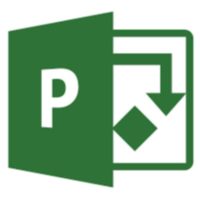 Project Online Essentials (1M/1M)