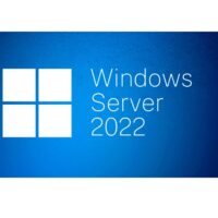 Windows Server 2022 Remote Desktop Services - 1 User CAL - 3 YEARS