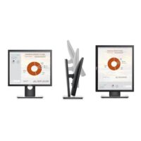 Dell 19 Monitor - P1917S - 48cm(19) Black CH