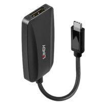Convertidor USB tipo C a DisplayPort 8K60