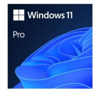 WINDOWS PRO 11 32/64-BIT ALLL ESD