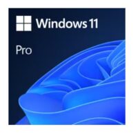 Windows 11 Pro Upgrade
