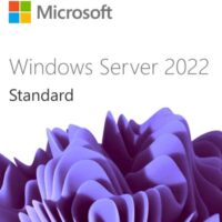 WINDOWS SERVER 2022 CAL - 1 USER CAL - 1 YEAR