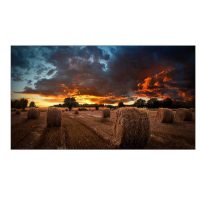 VM46B-U 24/7 VIDEOWALL 46"