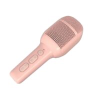 KIDSFESTIVAL2 - 5W Wireless Microphone with Built-in Speaker [PARTY COLLECTION]