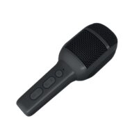 KIDSFESTIVAL2 - 5W Wireless Microphone with Built-in Speaker [PARTY COLLECTION]