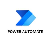 Power Automate Process (1Y/1M)