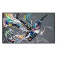 Pantalla Q-Line 75BDL3511Q/00 18/7