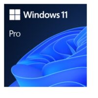 Windows 11 Pro - NON PROFIT