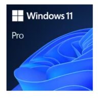 Windows 11 Pro N - NON PROFIT