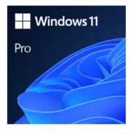 Windows 11 Pro N Upgrade - EDUCATION
