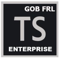 TECHSUITE ENTERPRISE MULTILANGUAGE FRL NEW GOV