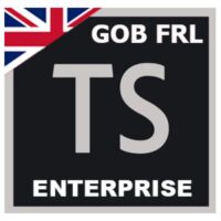 TECHSUITE ENTERPRISE ENGLISH FRL NEW GOV