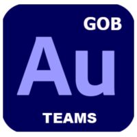 GOB_MULTI_TEAMS_AUDITION