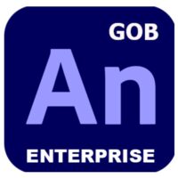 GOB_MULTI_ENTERPRISE_ANIMATE