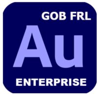 GOB_FRL_MULTI_ENTERPRISE_AUDITION