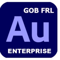 GOB_FRL_MULTI_ENTERPRISE_AUDITION