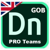 GOB_ENGLISH_PRO_TEAMS_DIMENSION