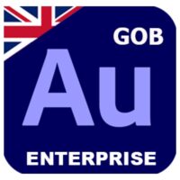 GOB_ENGLISH_ENTERPRISE_AUDITION