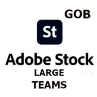 GOB_MULTI_TEAMS_STOCK_LARGE