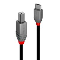 Cable USB 2.0 tipo C a B, Anthra Line, 2m