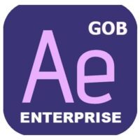GOB_MULTI_ENTERPRISE_AFTEREFFECTS