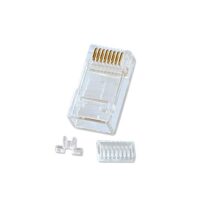 Conector RJ-45 macho Cat.6, 8 pines UTP, pack de 10