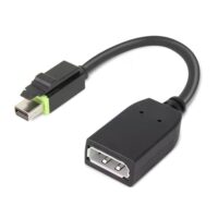 Adaptador Lenovo Mini DP a DP ThinkStation