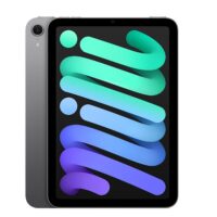 iPad mini Wi-Fi + Cellular de 256 GB - Gris espacial