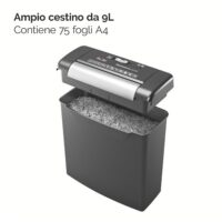 Momentum S206