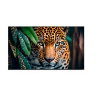 Monitor Signage Newline 65" Android 14 Wifi