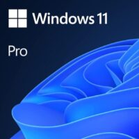 Windows 11 Pro N Upgrade