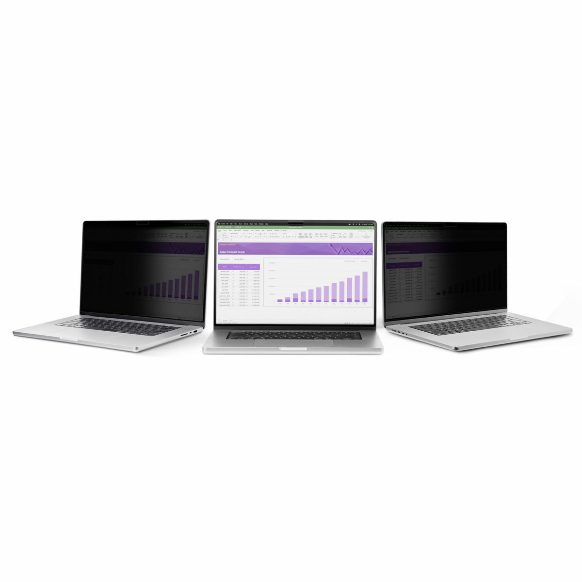 133T6-PRIVACY-SCREEN 133T6-PRIVACY-SCREEN