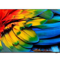 75HFL6214U/12 Mediasuite de 75"