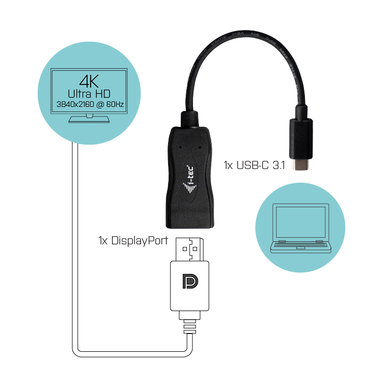 C31DP60HZP C31DP60HZP