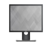 Dell 19 Monitor - P1917S - 48cm(19) Black CH
