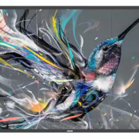 Pantalla Q-Line 75BDL3511Q/00 18/7