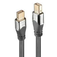 Promo - Cable Mini DisplayPort CROMO de 2 m