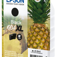 SINGLEPACK BLACK 604XL INK