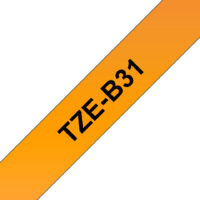 TZeB31