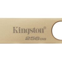 Unidad Flash USB DataTraveler SE9 G3 256GB