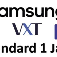 VX-CSY LICENCIA 1 AÑO Estándar gestión de contenidos