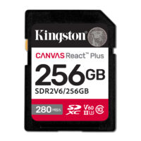 Canvas React Plus 256GB