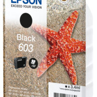 Singlepack Black 603 Ink